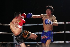 力保健富德搏擊王世界職業排名戰2011