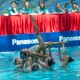 Panasonic2023年泛亞韻律泳錦標賽暨第十九屆香港韻律泳公開賽