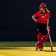 香港女子板球T20I系列賽