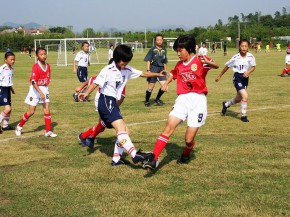 第十屆全港小學區際足球比賽, 2010 - 2011