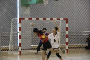 全港小學校際五人手球比賽, 2010 - 2011