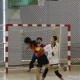 全港小學校際五人手球比賽, 2010 - 2011