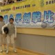 2010 - 2011全港小學校際劍擊比賽(決賽)青衣體育館