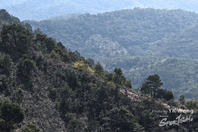 Z62_4679A