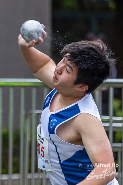 Photo _230