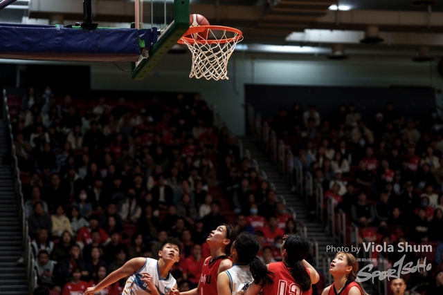 20240310-Basketball-Viola-03562