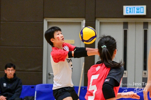 DZ6_3826-2