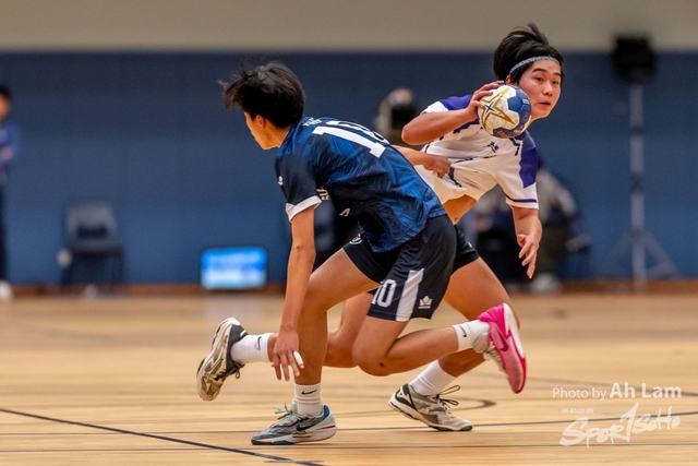 Handball  (2)