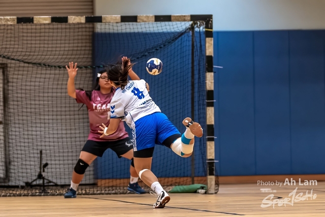 Handball  (16)