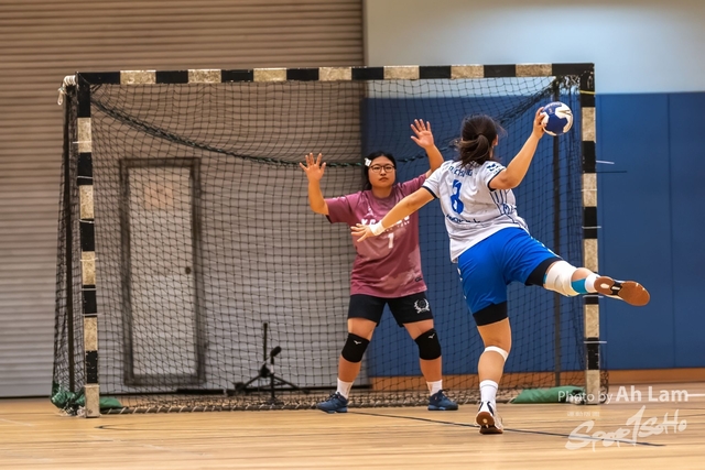 Handball  (18)