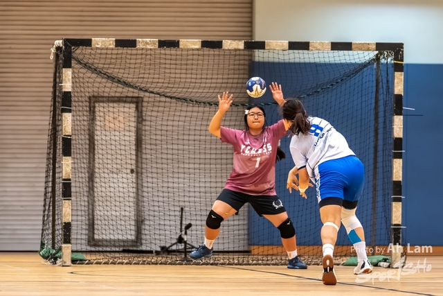 Handball  (19)