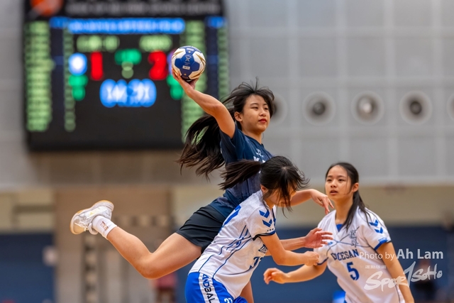 Handball  (20)