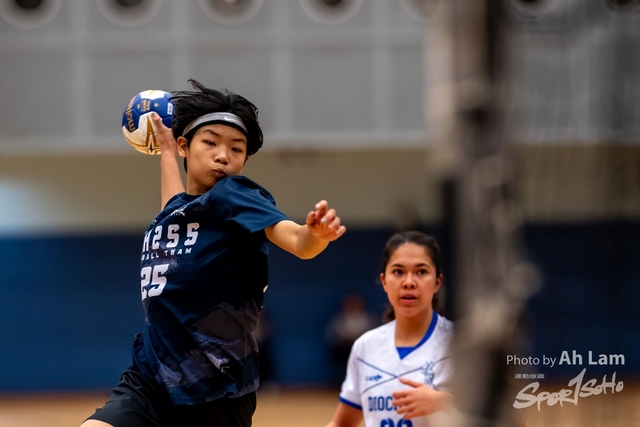 Handball  (21)