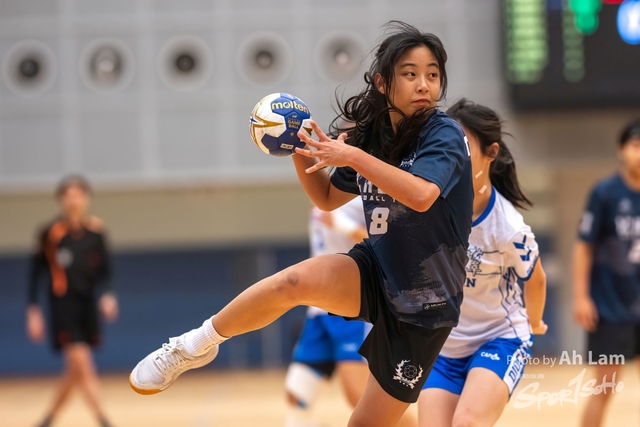 Handball  (22)