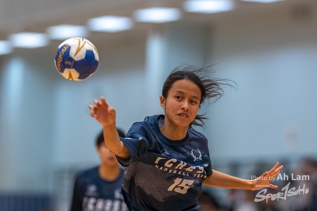Handball  (25)