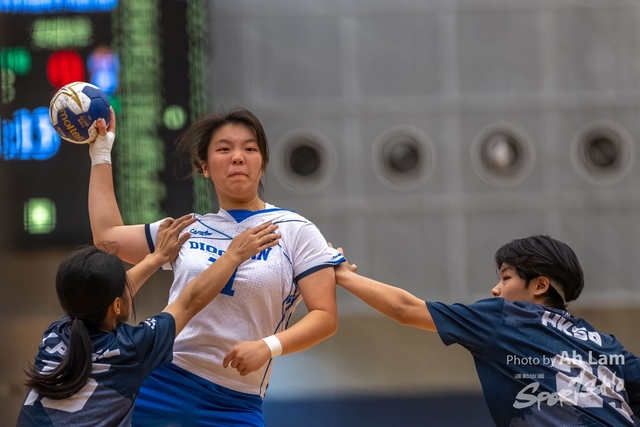 Handball  (28)