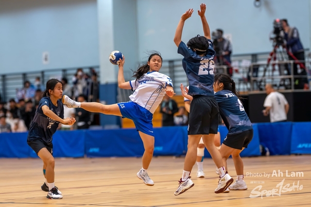 Handball  (30)