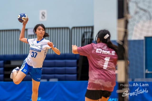 Handball  (33)