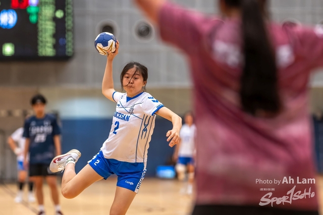 Handball  (35)