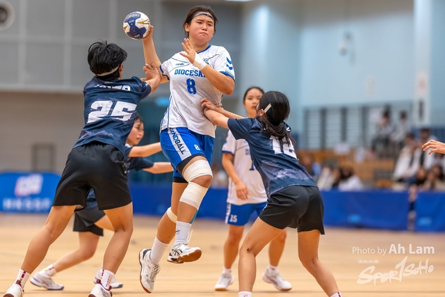 Handball  (39)