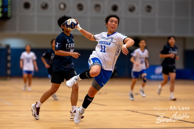 Handball  (41)