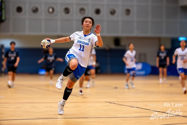 Handball  (42)