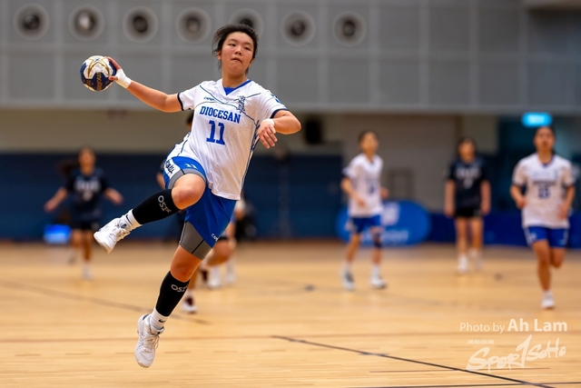 Handball  (43)