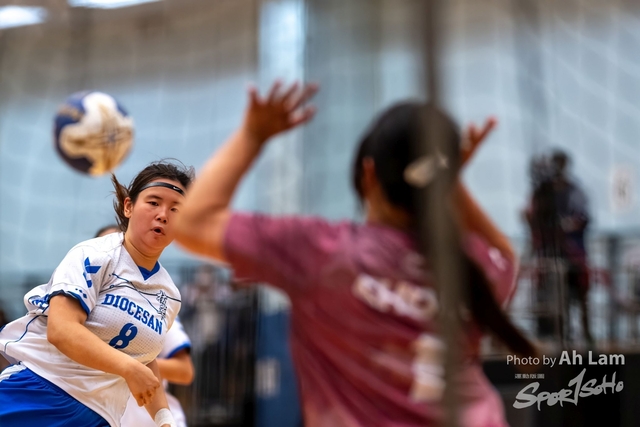 Handball  (45)