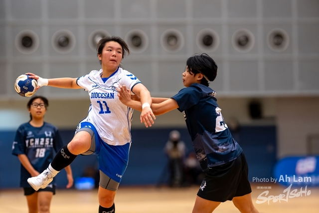 Handball  (46)