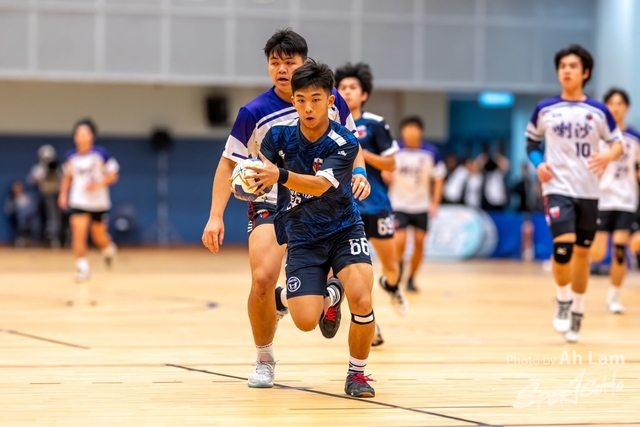 Handball  (60)