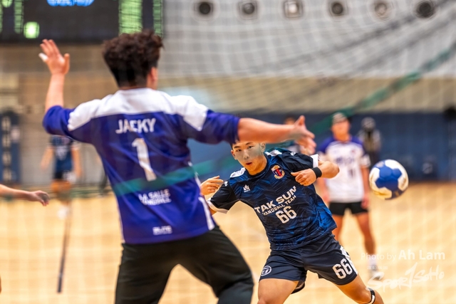 Handball  (66)