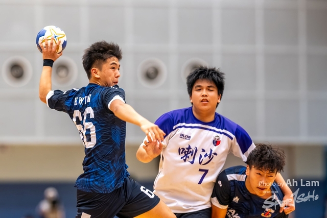 Handball  (71)