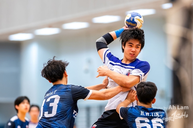 Handball  (77)