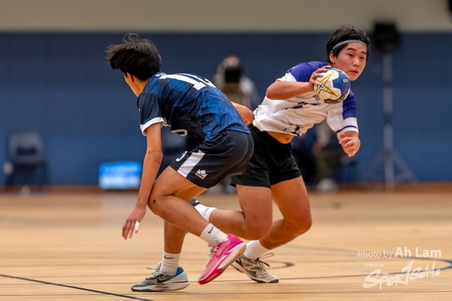 Handball  (82)