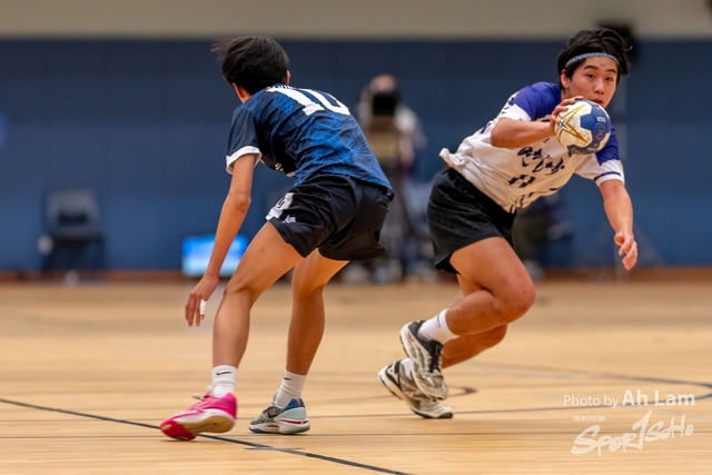 Handball  (83)