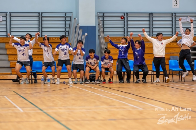 Handball  (91)