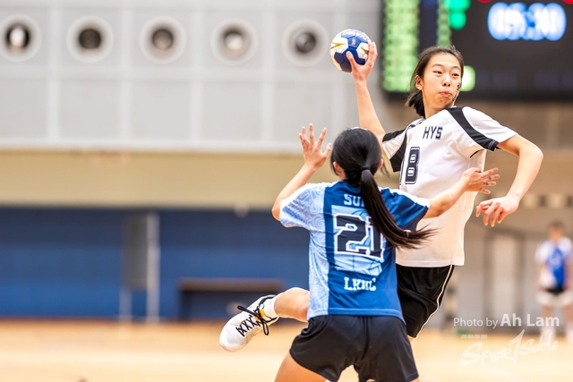 Handball  (97)