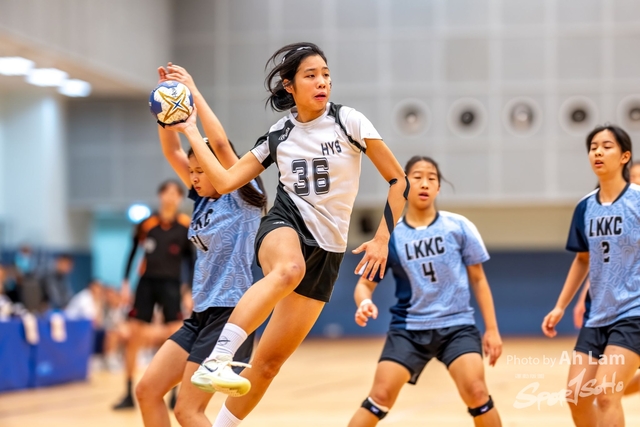 Handball  (100)