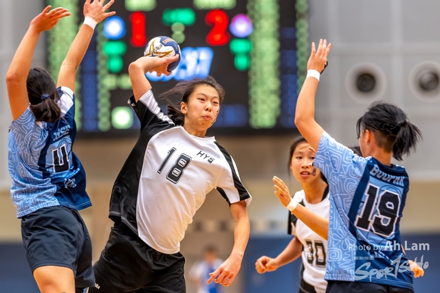 Handball  (102)