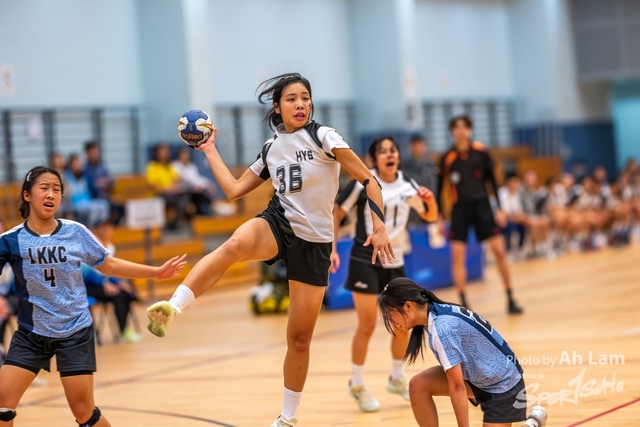 Handball  (106)