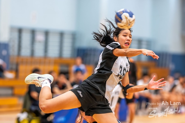 Handball  (107)