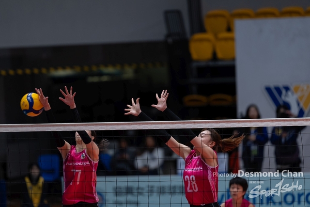 20240324 Volley Ball A1 _DC11602