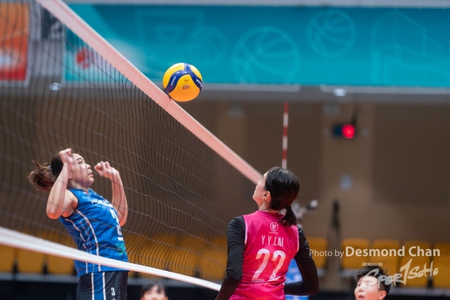 20240324 Volley BAll A9 _DC92160
