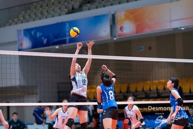 20240324 Volley BAll A9 _DC93213