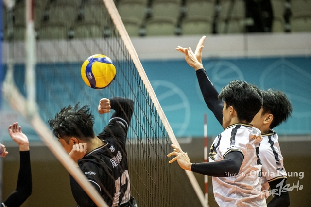 0LI_9426 copy