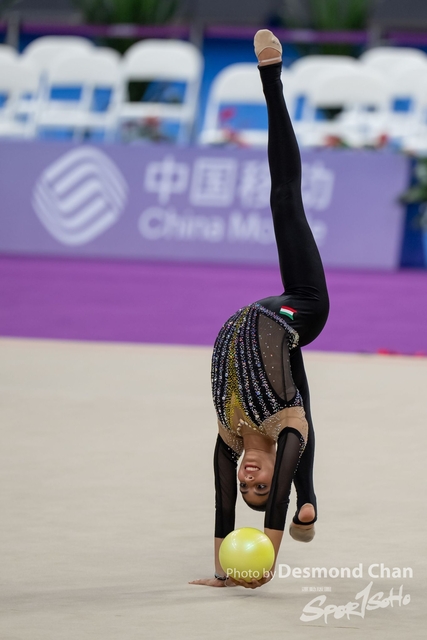 20231006 R Gym A1 1 _DAC3269