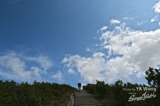 Z62_8060A