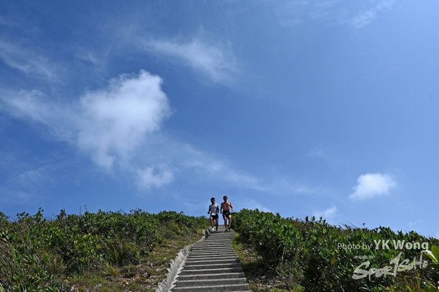 Z62_8216A