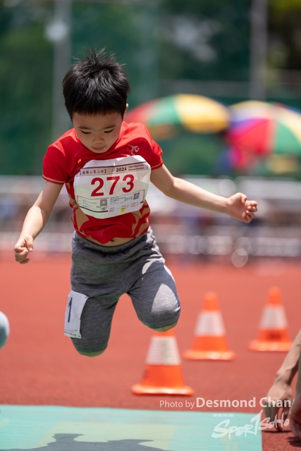 20240515 TF A1 _DC11720-2