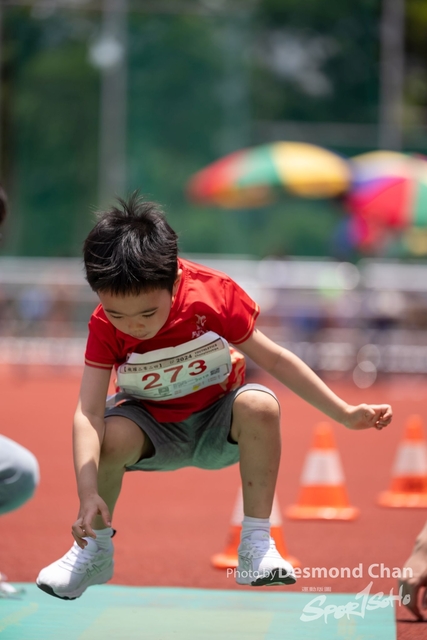 20240515 TF A1 _DC11721-2